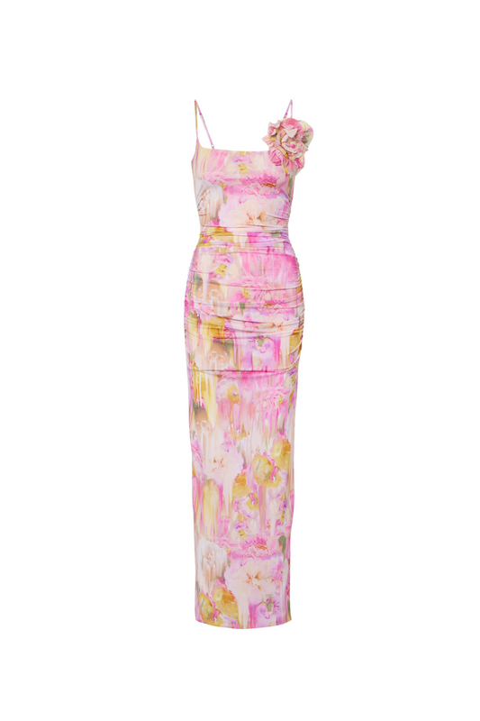 molly Floral Appliqué Print Maxi Dress in pink
