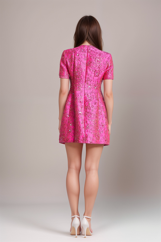 Florentina floral-appliqué embellished mini dress