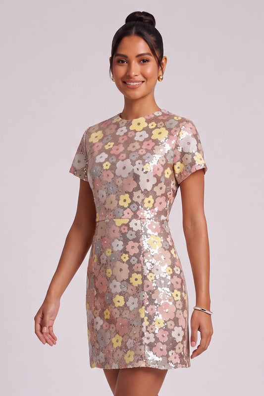 Silver Sequined Mesh A-Line Shift Dress