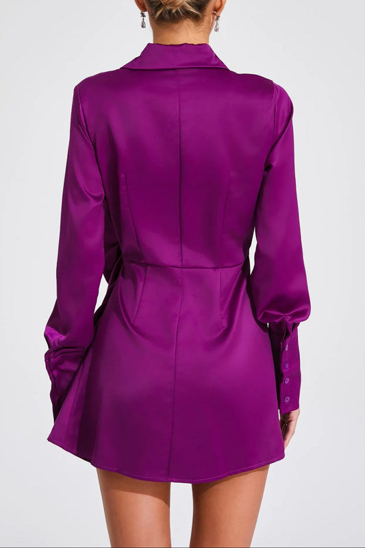 Ariana Long Sleeve Mini Dress