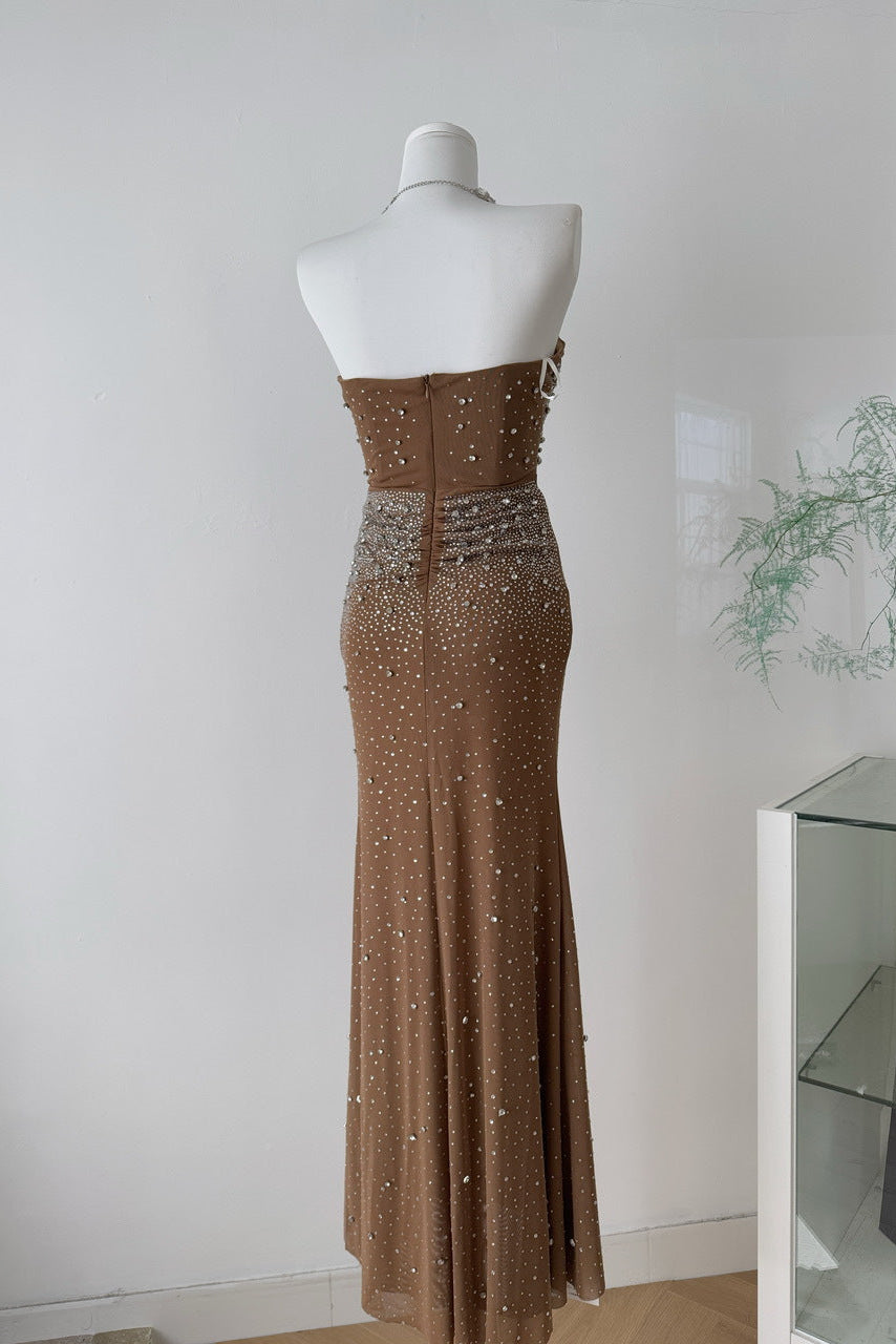 Brown Mesh Fitted Column Gown with Crystal Embellishments