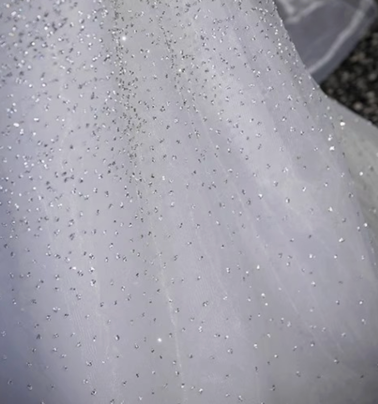 Silver Tulle A-Line Evening Gown