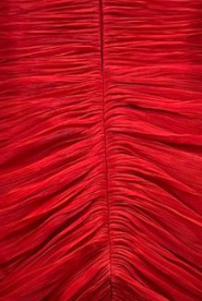 Red Halter Neck Floor-Length Gown with Floral Appliqué