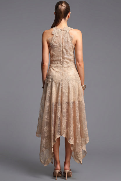 Beige Corded Floral Lace A-Line Midi Dress with Asymmetrical Hem beige, champagne corded floral lace dress - product view 3