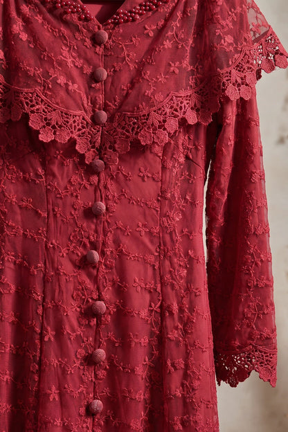 Deep Red Embroidered Floral Lace A-Line Midi Dress deep red embroidered floral lace overlay dress - product view 6