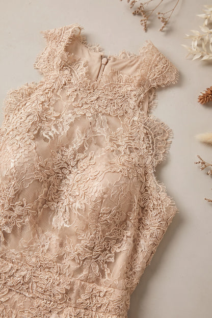 Beige Corded Floral Lace A-Line Midi Dress with Asymmetrical Hem beige, champagne corded floral lace dress - product view 7