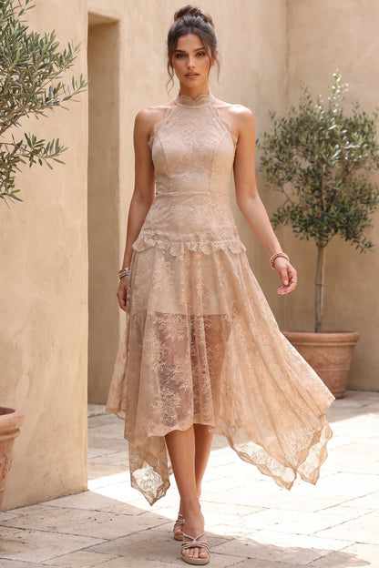 Beige Corded Floral Lace A-Line Midi Dress with Asymmetrical Hem beige, champagne corded floral lace dress - product view 8