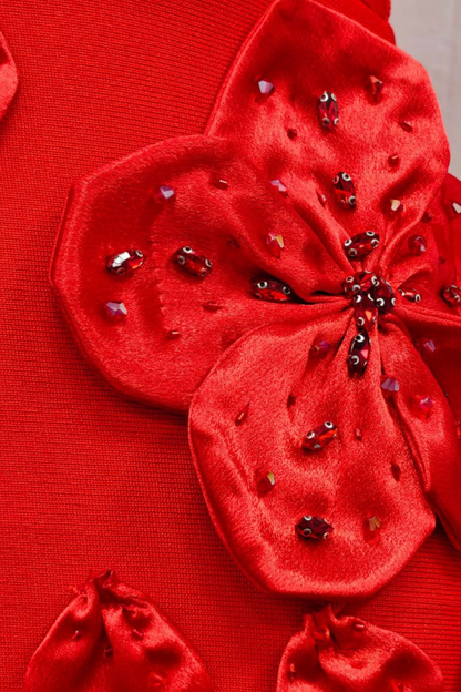 Red Halter Neck Floor-Length Gown with 3D Floral Embellishments