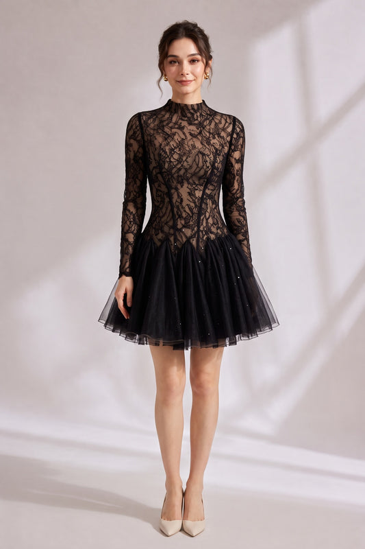 Black Sheer Lace High Neck Long Sleeve Tulle Mini Dress