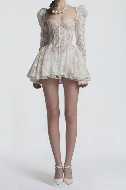 Caitlyn Lace Corset Mini Dress
