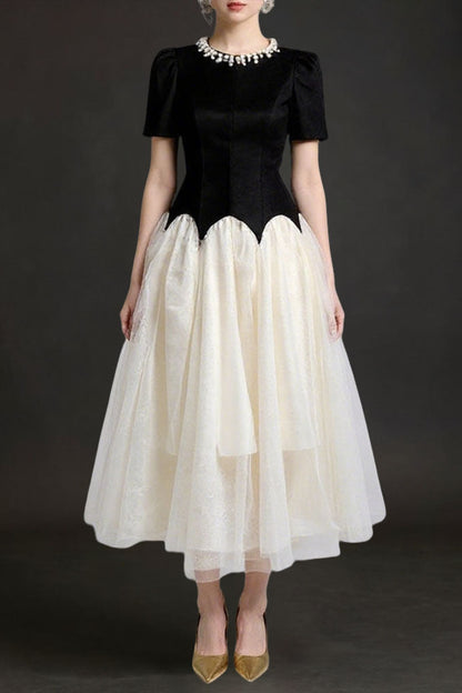 leona black-white Two-Tone rhinestone neck tulle maxi Dress