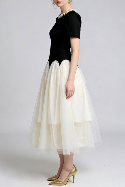 leona black-white Two-Tone rhinestone neck tulle maxi Dress