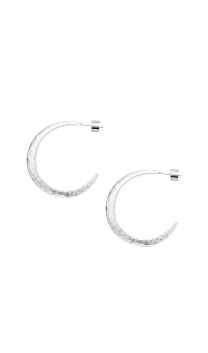 Needle Earrings in silver