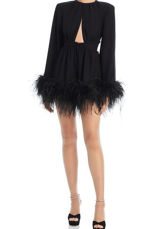 ORNELLA FEATHER TRIM DRESS