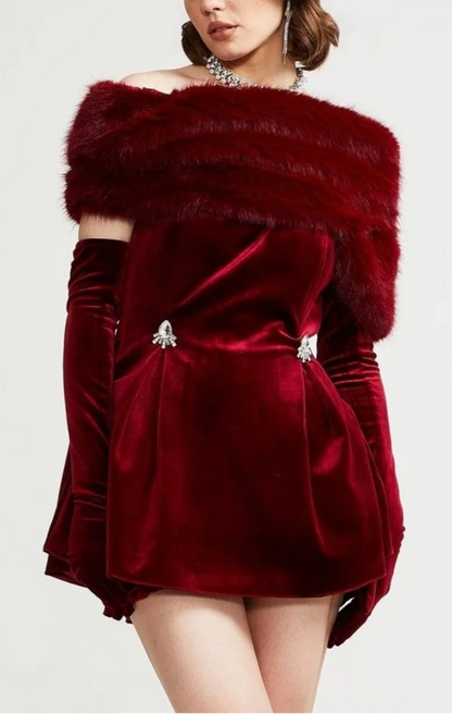 Wivika velvet fur dress
