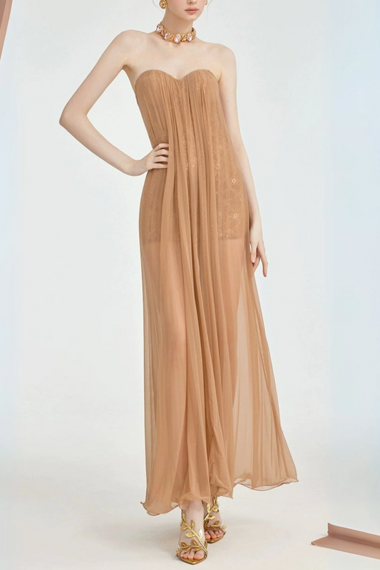 Thea Strapless Mesh Backless maxi Dress in brown