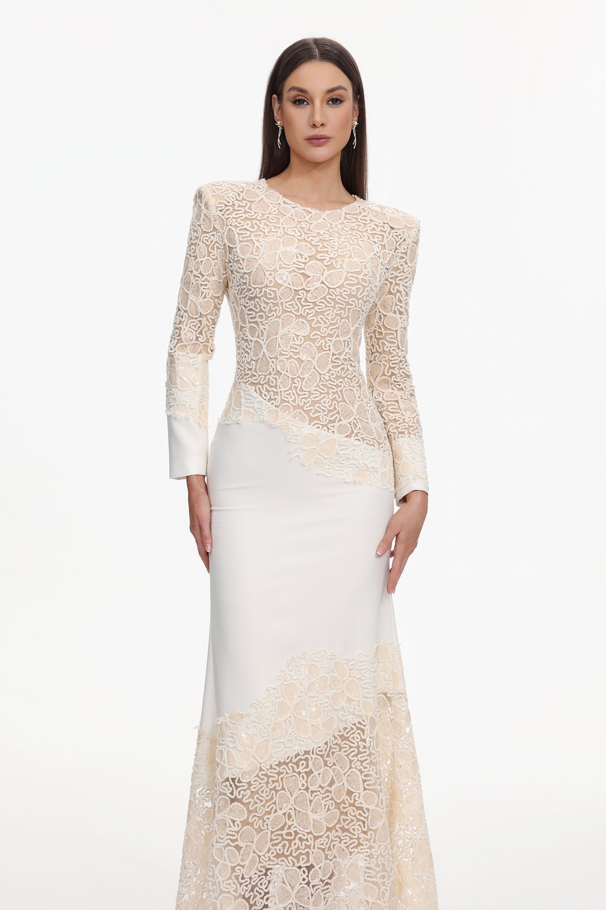 jacqueline Beige lace Embroidered long sleeve Mermaid Maxi Dress