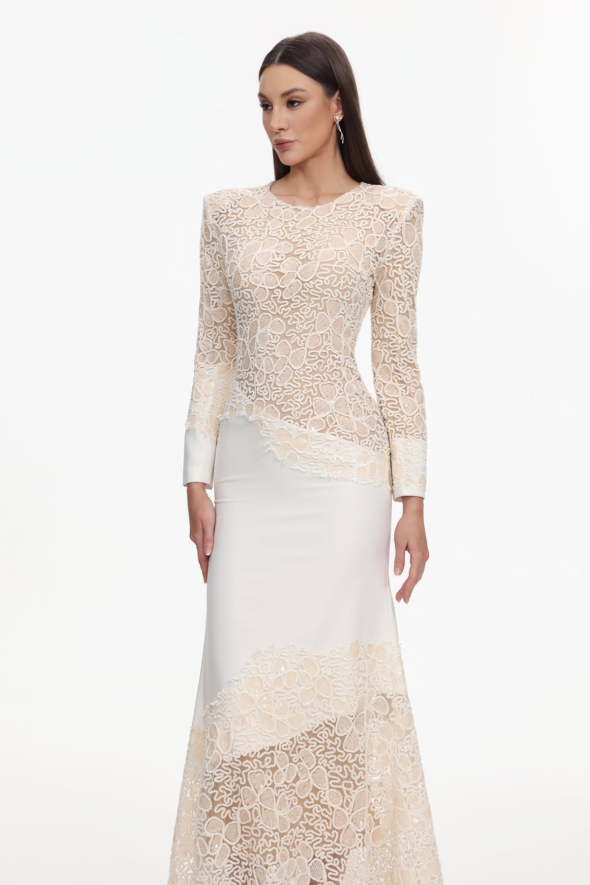 jacqueline Beige lace Embroidered long sleeve Mermaid Maxi Dress