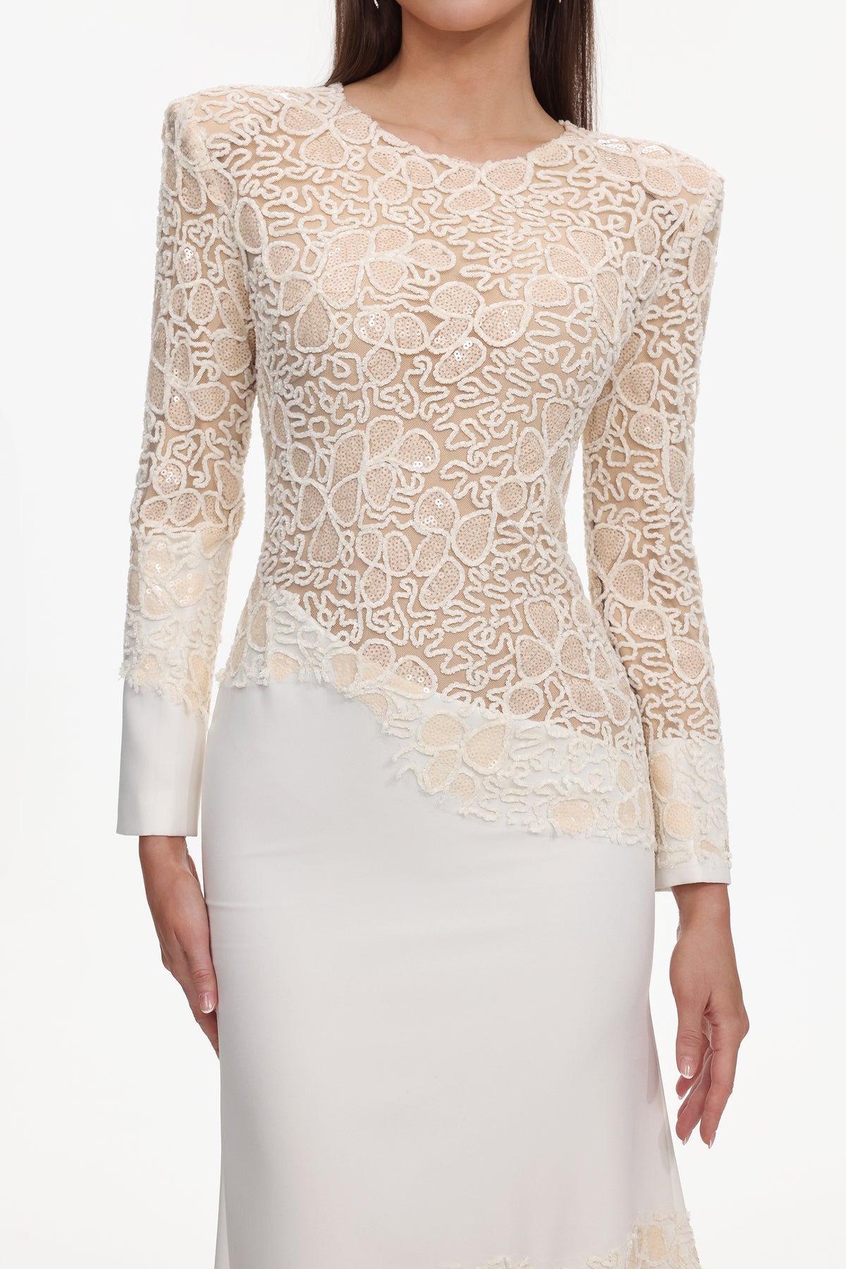 jacqueline Beige lace Embroidered long sleeve Mermaid Maxi Dress