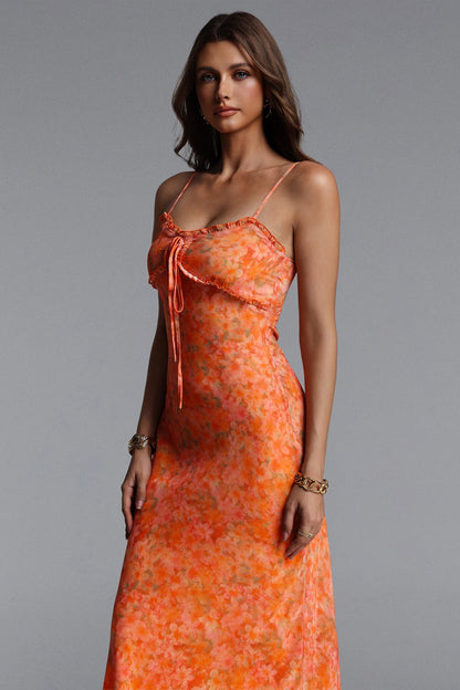 Ienee Sleeveless Ruffle Floral Print Woven Maxi Dress