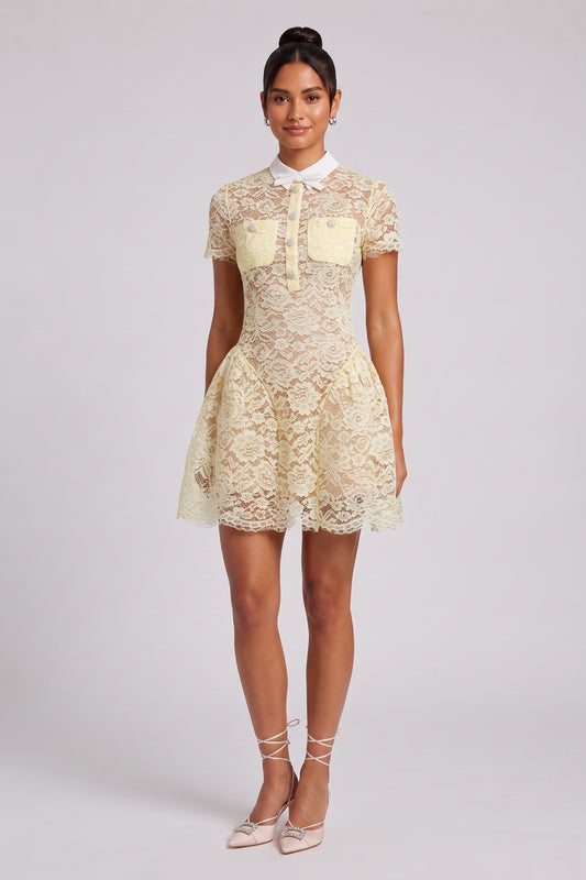 Pale Yellow Floral Lace Overlay Fit-and-Flare Dress pale yellow floral lace overlay dress - product view 1