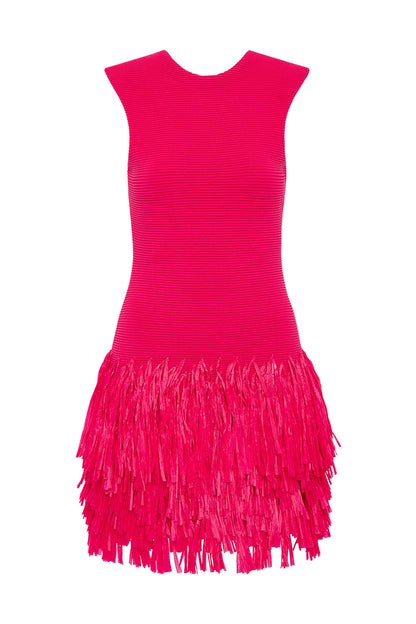 gloria sleeveless Raffia Knit Mini Dress in red