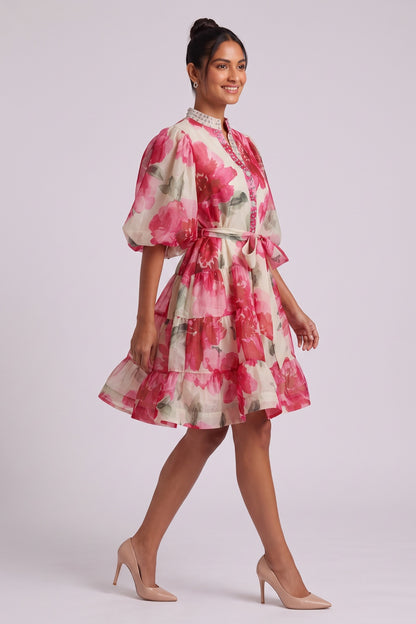 Cream Organza Watercolor Floral A-Line Dress with Puff Sleeves cream, off-white organza dress - product view 3