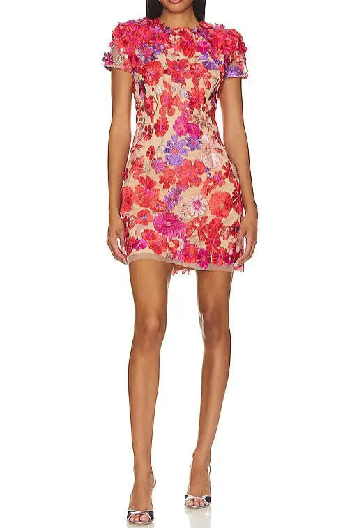 Embroidered applique slim mini dress in red