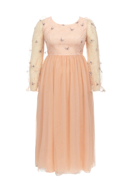Embroidered tulle long sleeve maxi dress