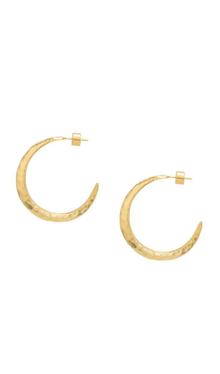 Needle Earrings in gold