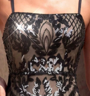 Black Mesh A-Line Mini Dress with Sequin Embroidery