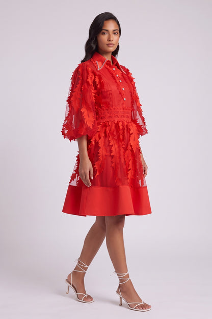Red Sheer Organza 3D Appliqué Fit-and-Flare Dress red sheer organza with 3D fabric appliqués dress - product view 3