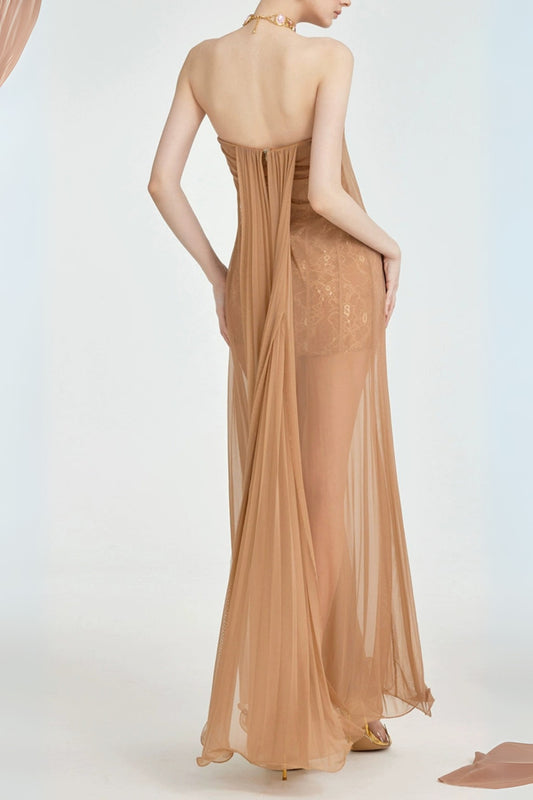 Thea Strapless Mesh Backless maxi Dress in brown