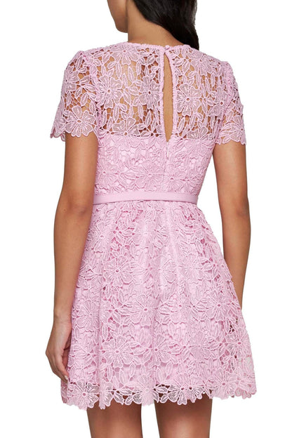 Lace mini dress in pink