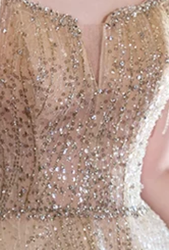 champagne gold glitter tulle a-line evening gown