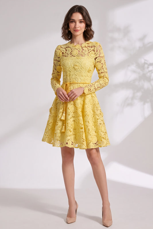 yellow guipure lace fit-and-flare dress yellow guipure lace dress - product view 1