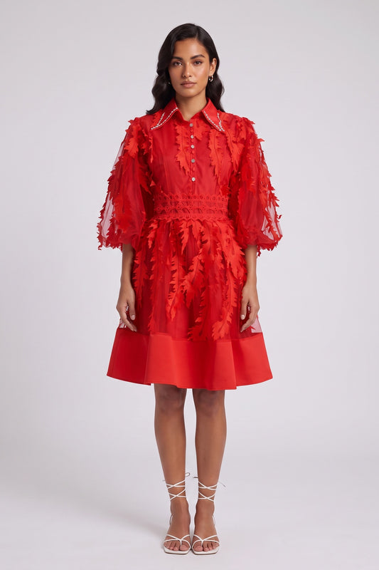 Red Sheer Organza 3D Appliqué Fit-and-Flare Dress red sheer organza with 3D fabric appliqués dress - product view 1