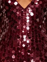 Burgundy Sequined Mesh Sheath with Flared Sheer Lower Skirt Evening Dress
