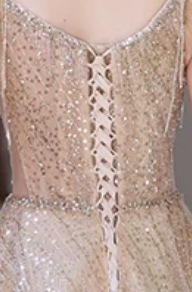 champagne gold glitter tulle a-line evening gown