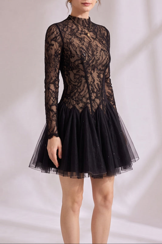 Black Sheer Lace High Neck Long Sleeve Tulle Mini Dress