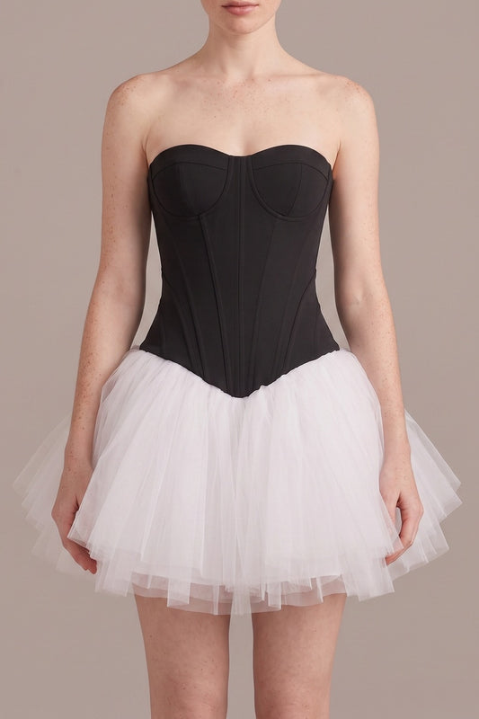 Strapless Corset Top & Tulle Tutu Skirt Two Piece Set
