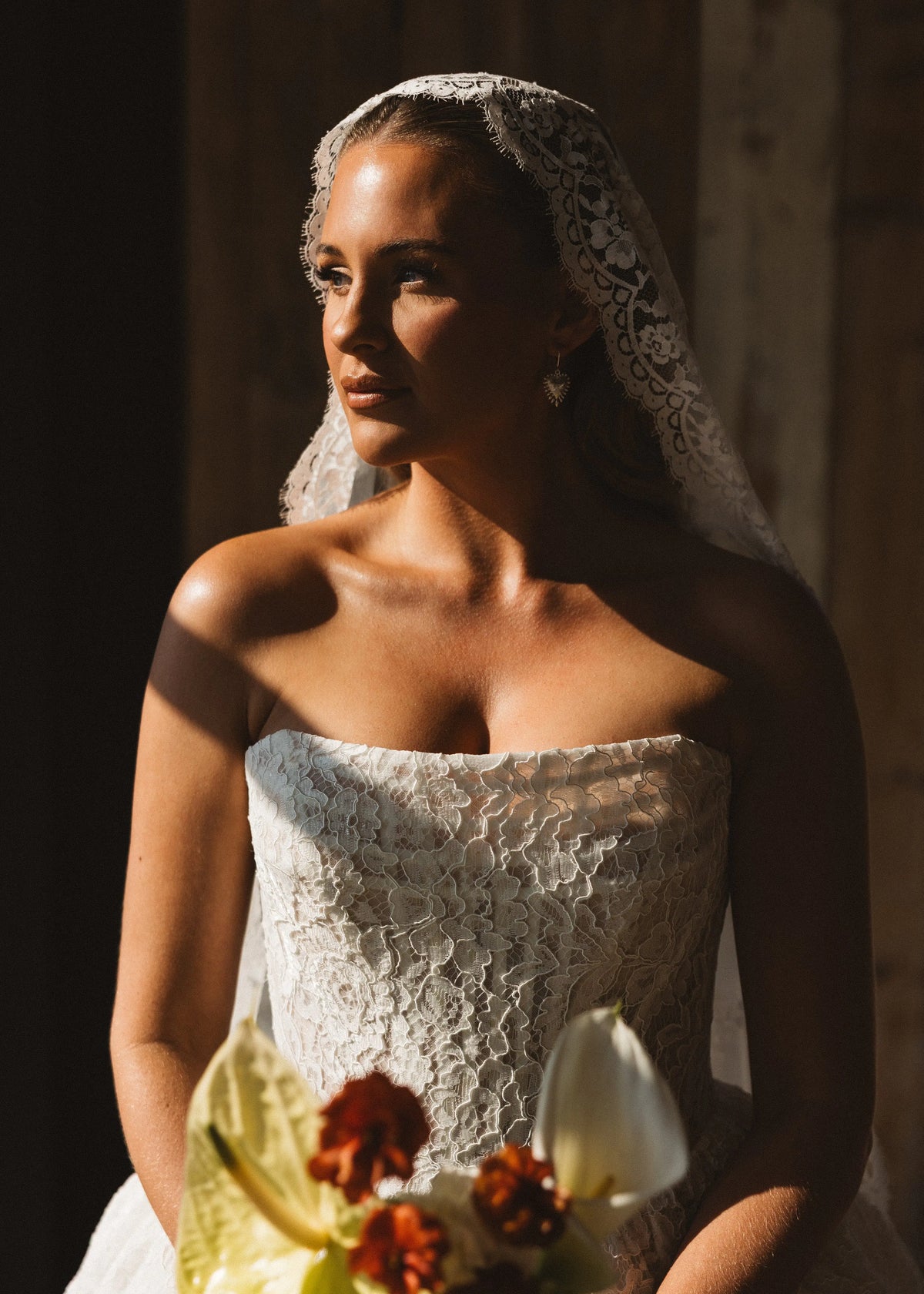 Catherine Eyelash Lace Mantilla Veil