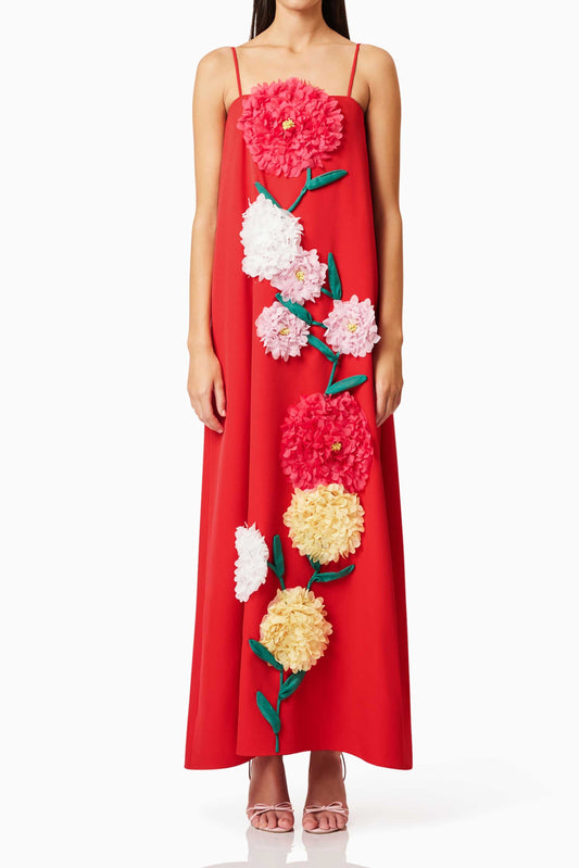 judy Buttercup Embroidered Maxi Dress In Red