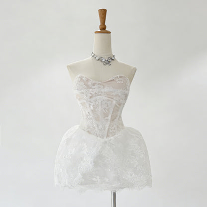 Lace Embroidered Bandeau Sleeveless Dress