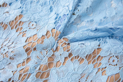 eunice hollow pencil Lace mini Dress in blue