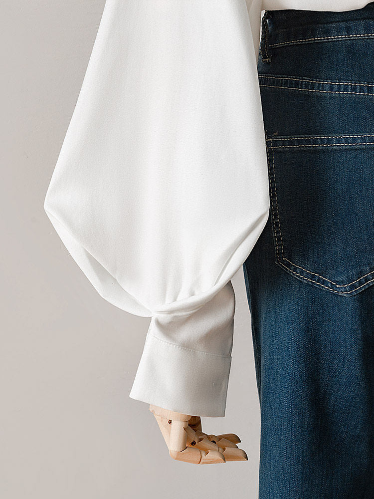 Lantern Sleeve Point Collar Blouse