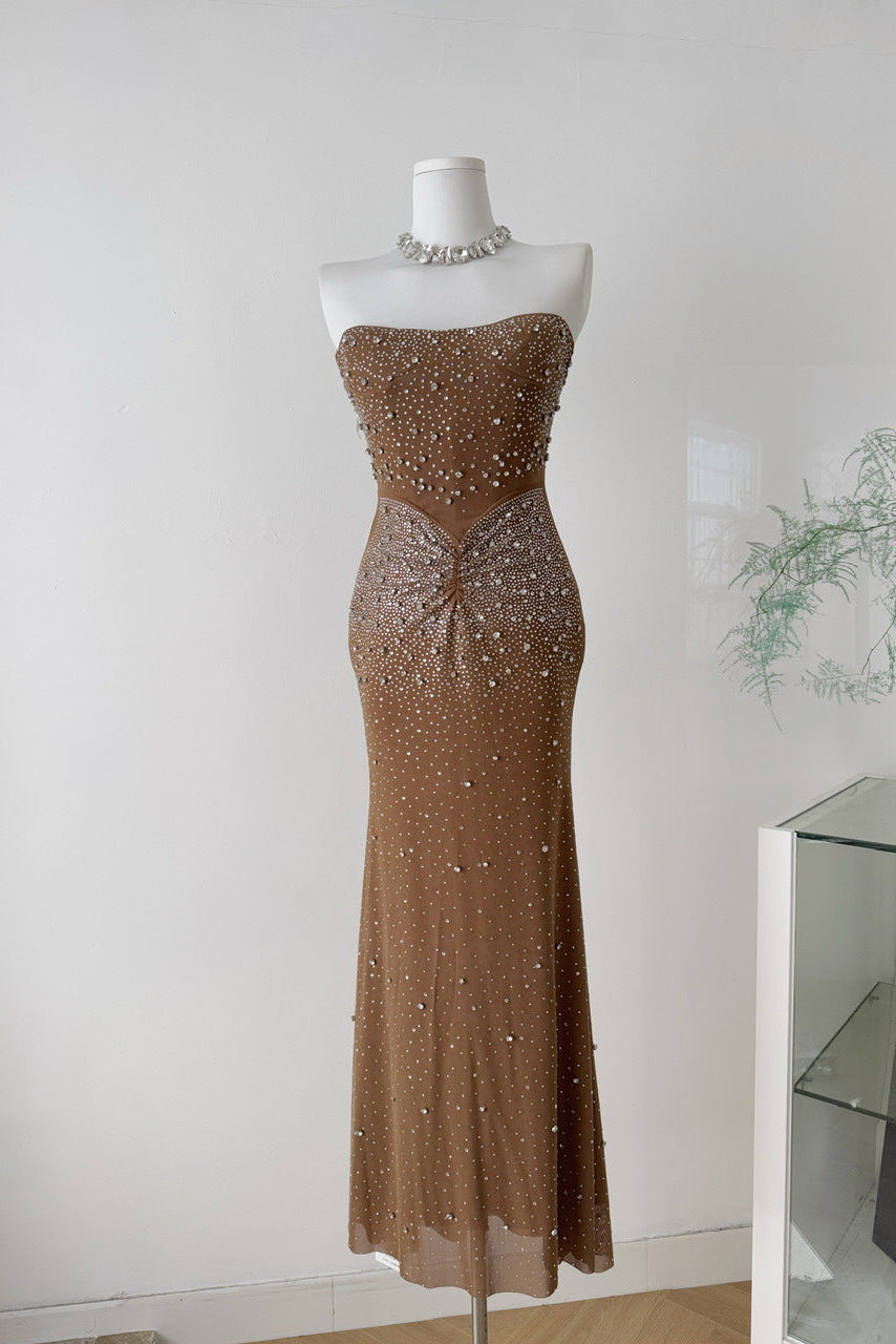Brown Mesh Fitted Column Gown with Crystal Embellishments