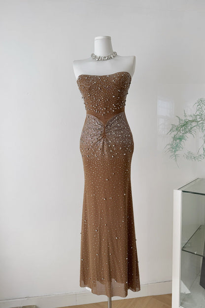 Brown Mesh Fitted Column Gown with Crystal Embellishments