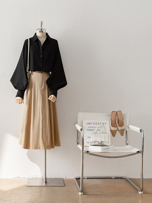 Lantern Sleeve Point Collar Blouse