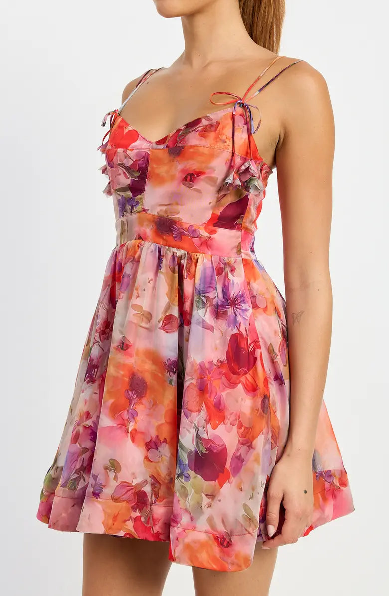 Red Multi Floral Tie Strap Mini Dress